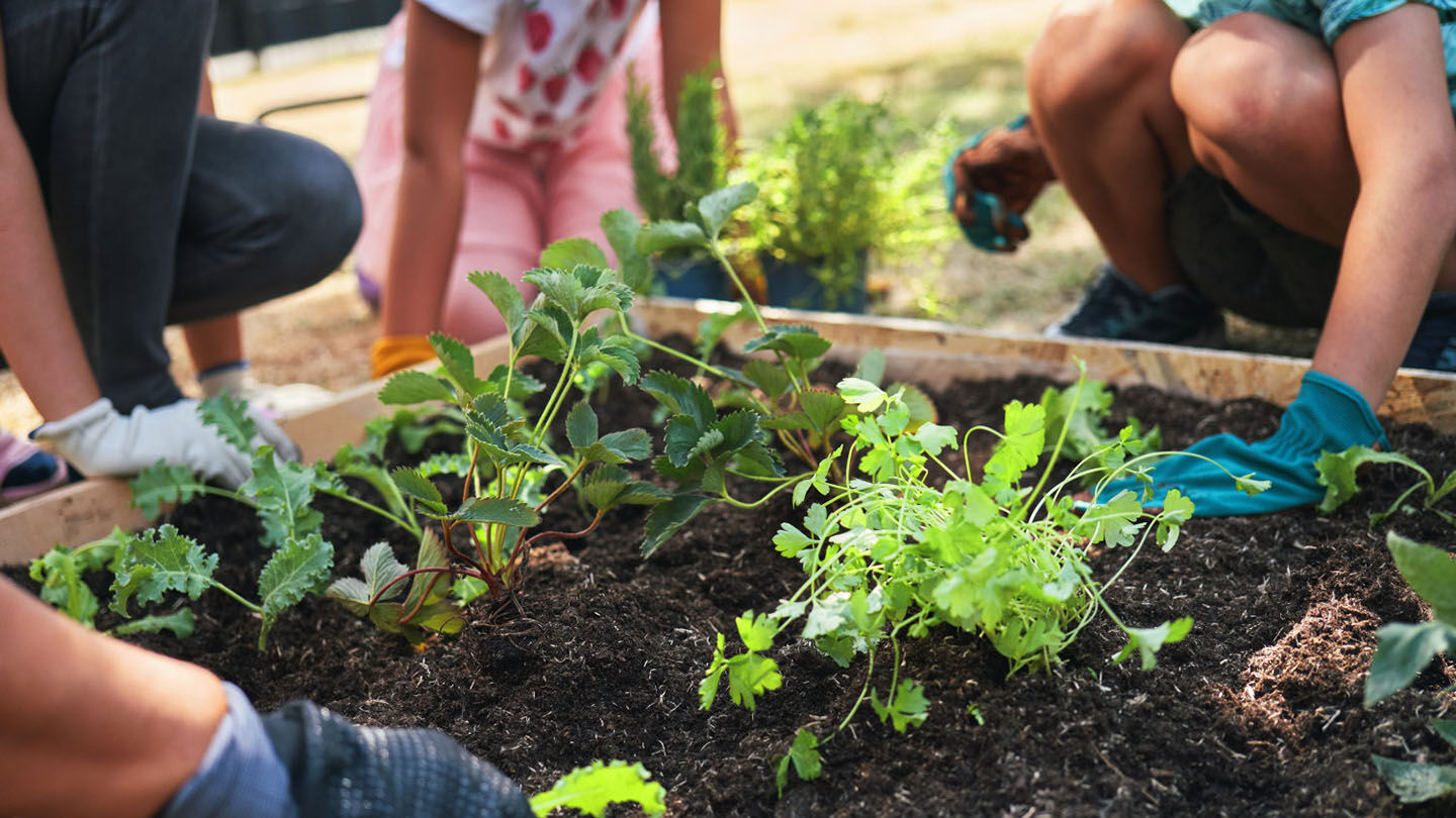 Cómo educar a los niños en el respeto por el medio ambiente